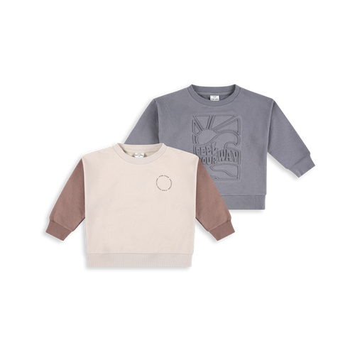 2 Sweatshirts Pack FB15