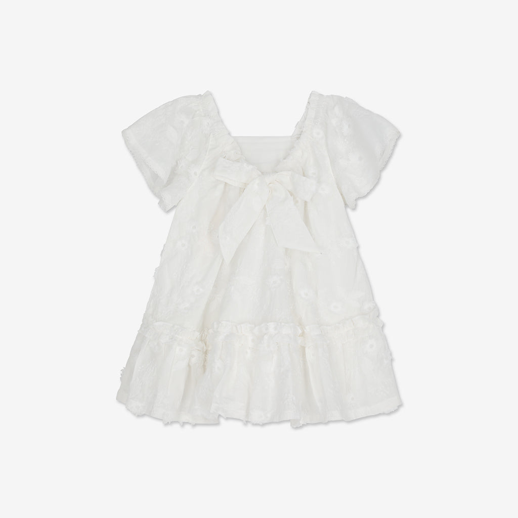 Embroidered Short seeve Mini Dress H - H17