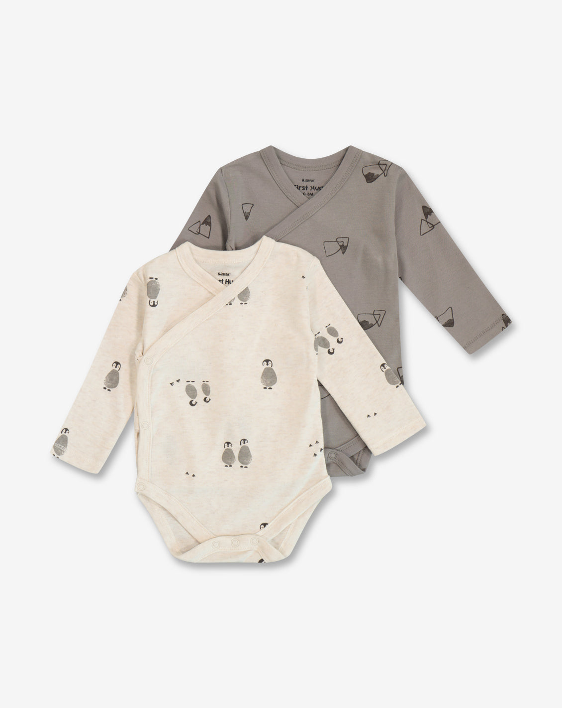 Pair of Bodysuit PC