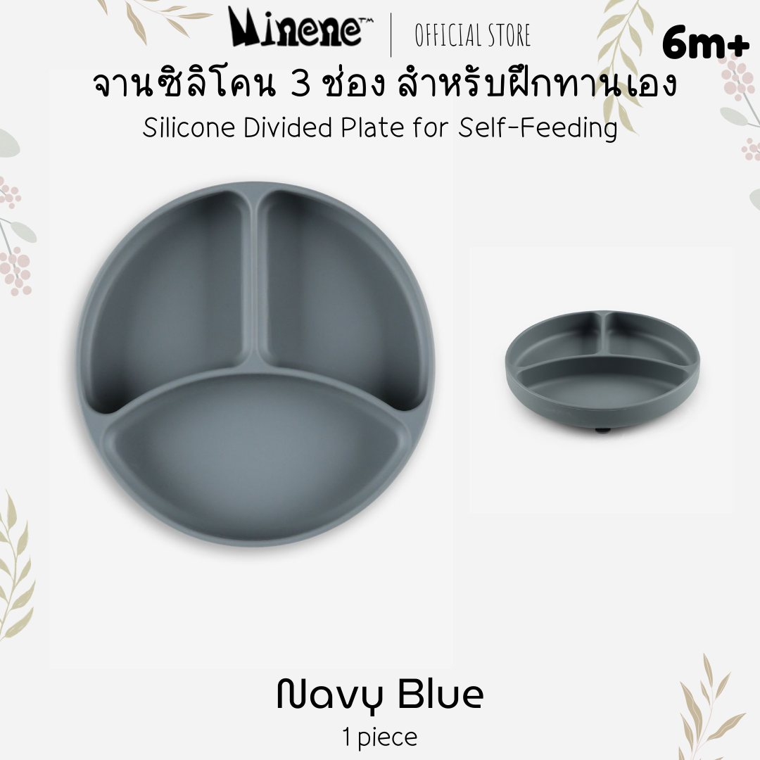 Divided Silicone Plate