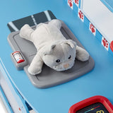 Animal Care Activity Center Vet