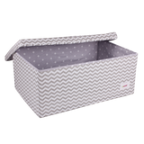 Boy and Girl Twins  Gift Box