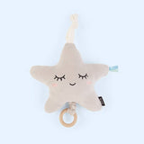 Mini Stylish Newborn Gift Basket