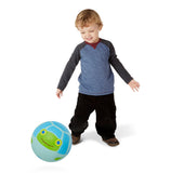 Dilly Dally Turtle Kickball