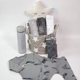 Stylish Newborn Gift Basket